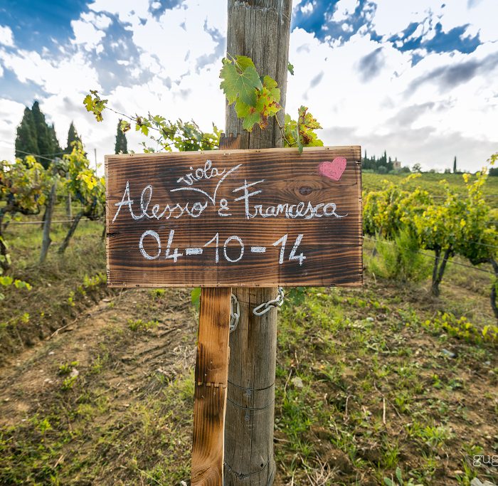 Wedding Photographer Capezzana - Engagement - Country Style in Tuscany