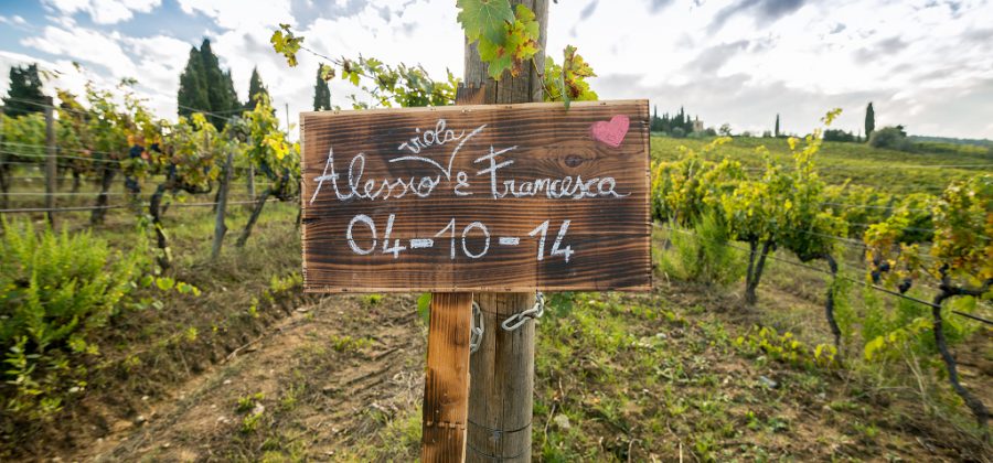 Wedding Photographer Capezzana - Engagement - Country Style in Tuscany