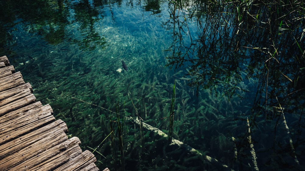 022-laghi-plitvice