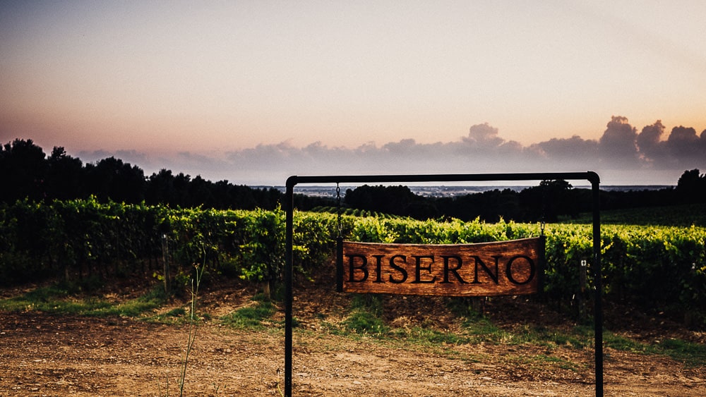 fotografo-matrimonio-bolgheri-biserno-88